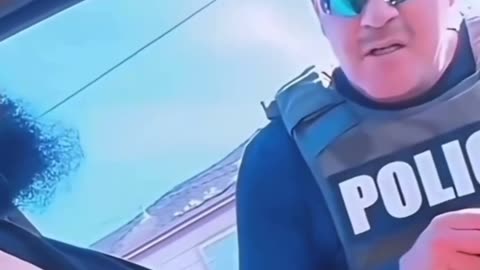 Police pull over driving Cat.