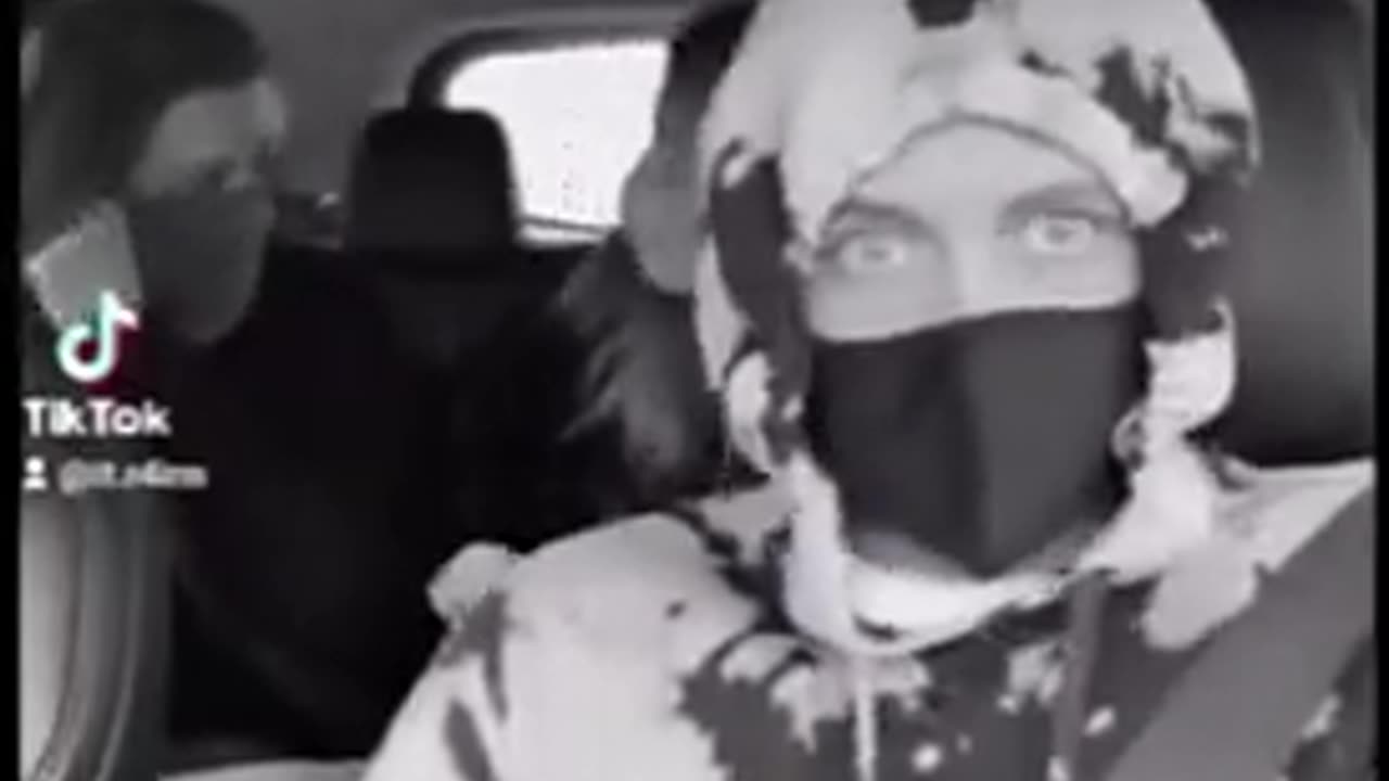 Beta Buxx Alpha Fuxx (REUPLOAD)