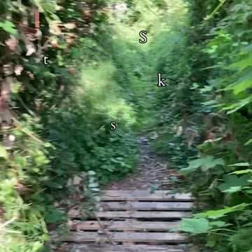 Path of Endurance and Intuition | Path and Tarot Reading