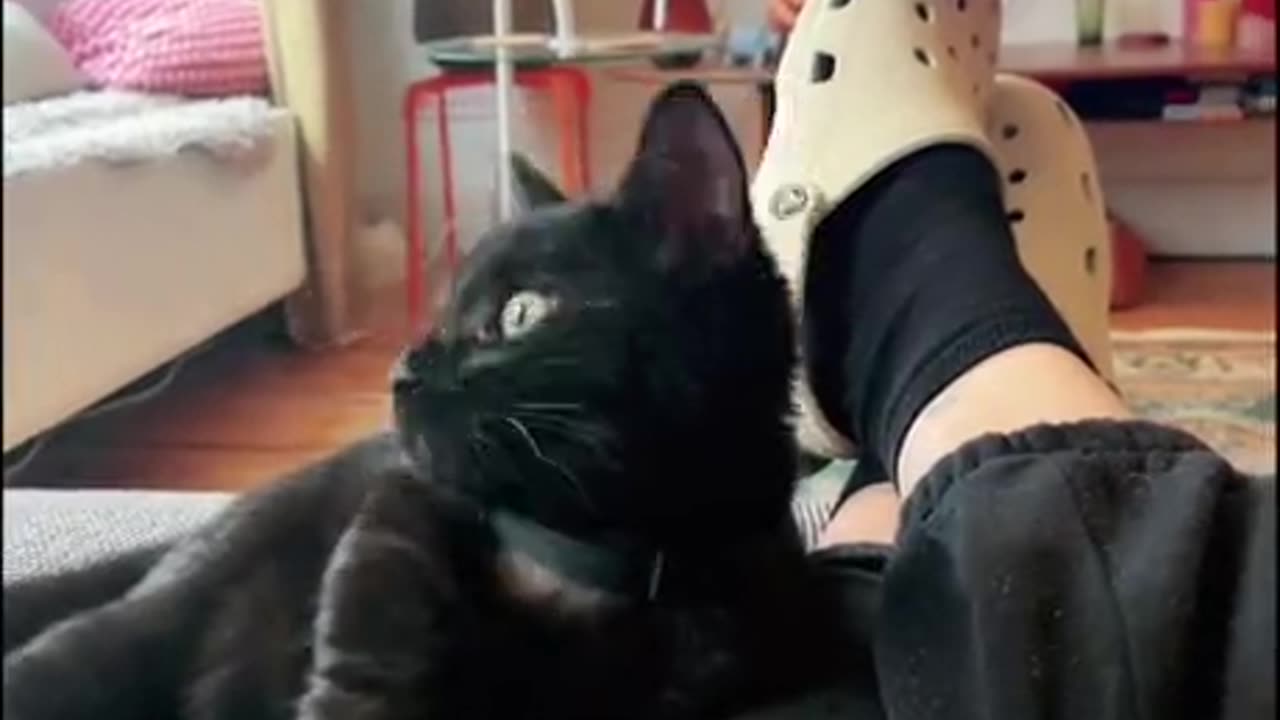 Another cute quickie. I have lots of content dropping today... watch!!!!