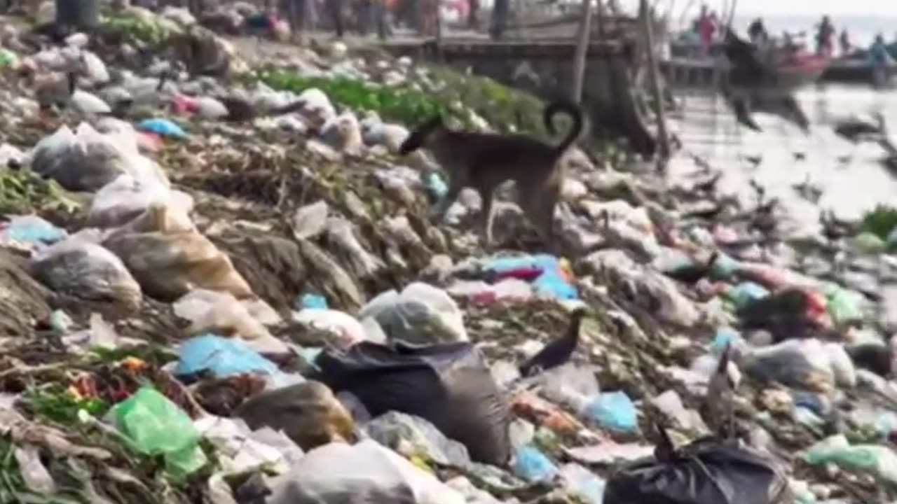 আবর্জনায় ভরে যাচ্ছে নদী | সচেতনতামূলক ভিডিও 🌊