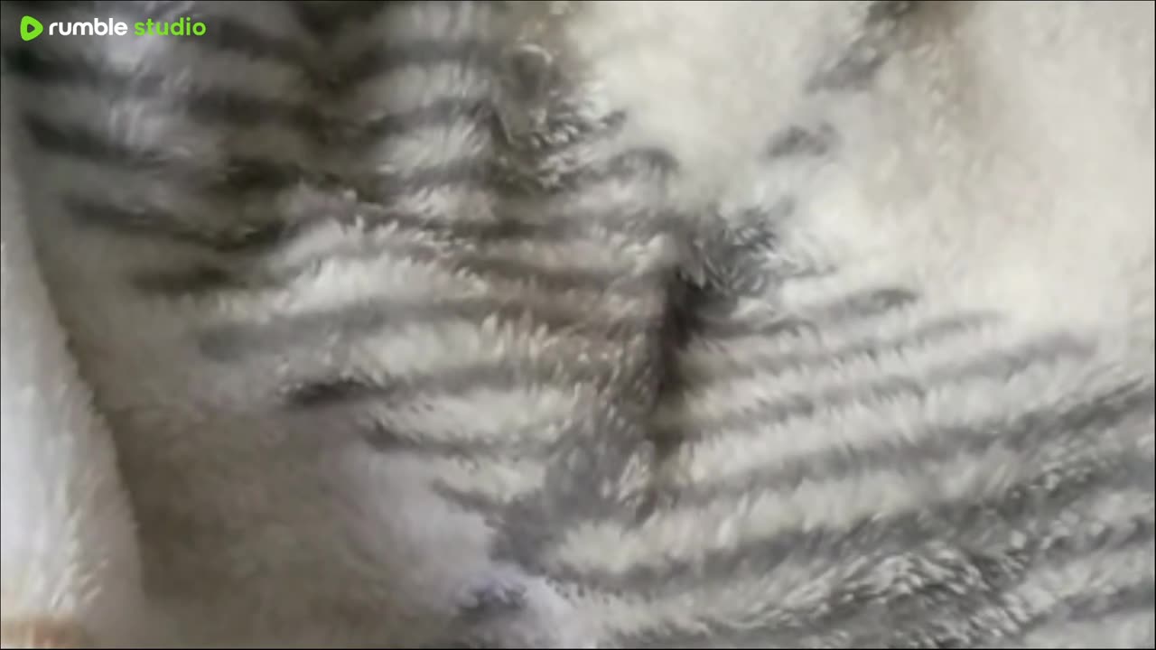 let's talk about goals