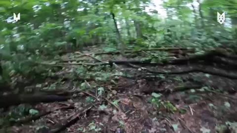 Incredible Footage from Ukrainian Raid on Russian Camp in the Kharkiv Border Area