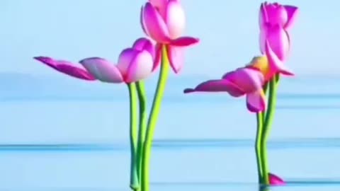 Love Flower Dance ।। Comedy।।#shorts #shortfeeds #rumbleshorts #viral #trending