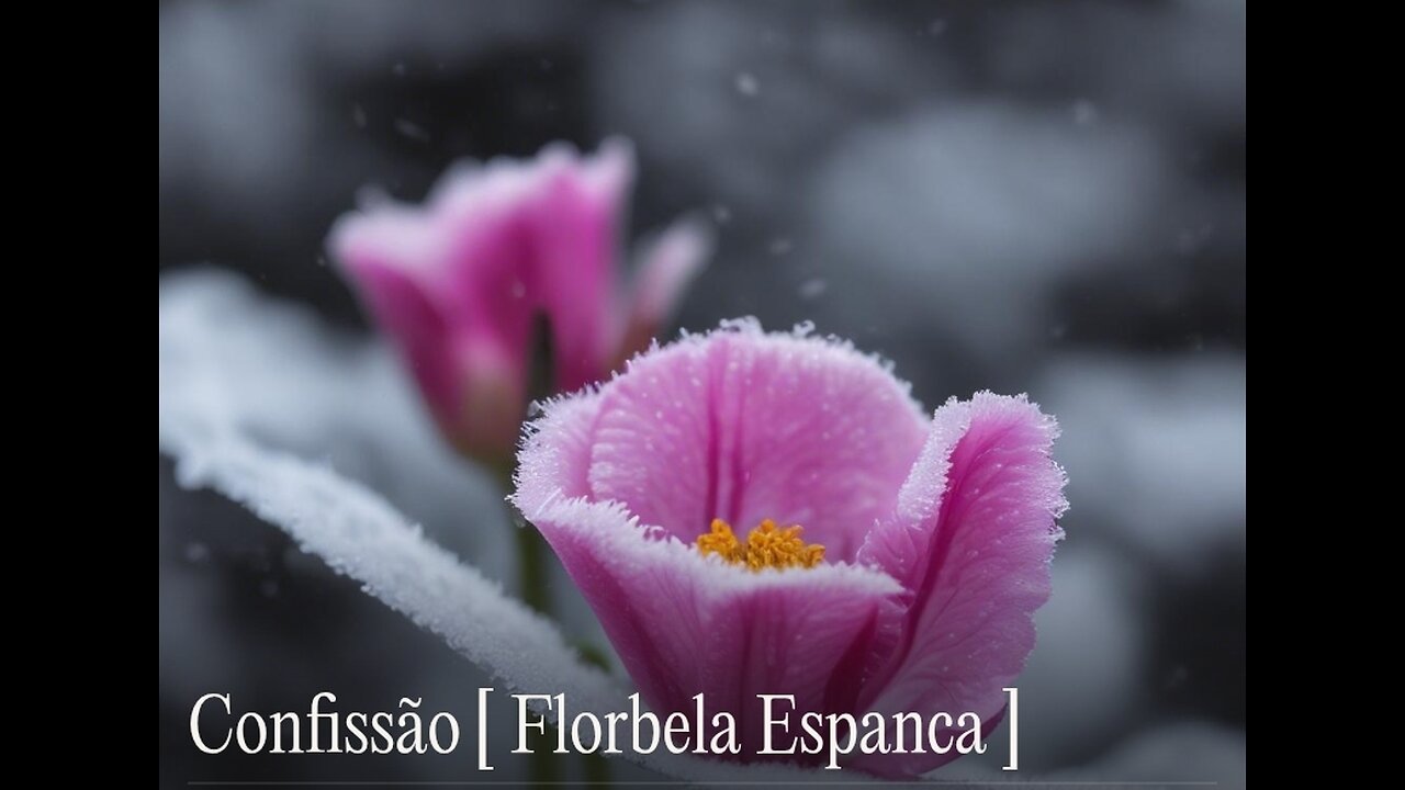 Florbela Espanca / Confissão