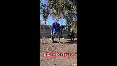 ENZO-DONEYUNO