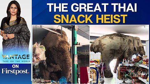 Trunkful of Trouble_ Elephant Raids Thai Grocery Store__ Vantage with Palki Sharma _ N18G