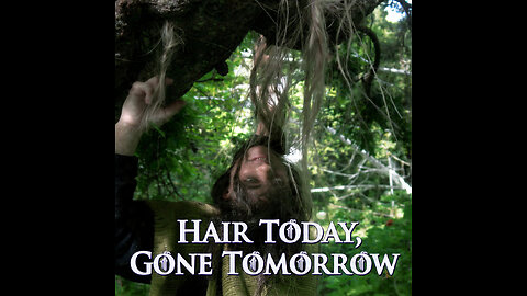 Hair Today, Gone Tomorrow