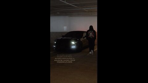 204/365 dias | Sin miedo.