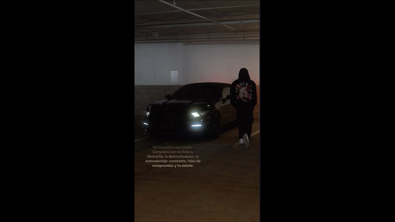 204/365 dias | Sin miedo.