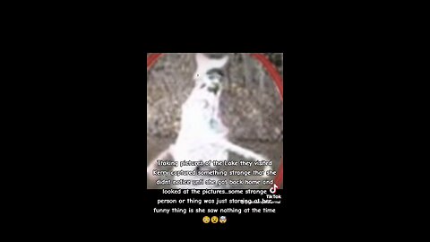 Something was captured heading into the woods #ghost #paranormal