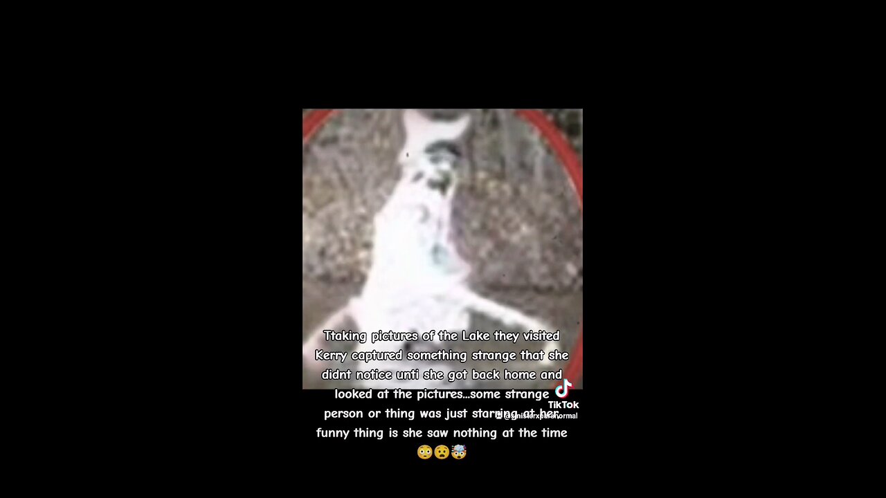 Something was captured heading into the woods #ghost #paranormal