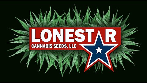 Lonestar cannabis Seeds July 4th