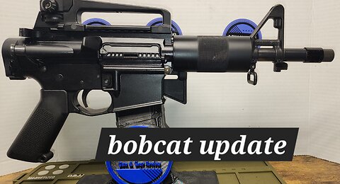 update on bobcat