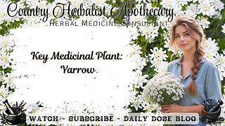 Key Medicinal Plant: Yarrow