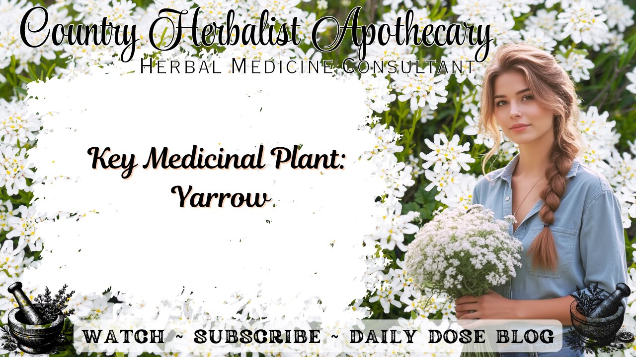 Key Medicinal Plant: Yarrow