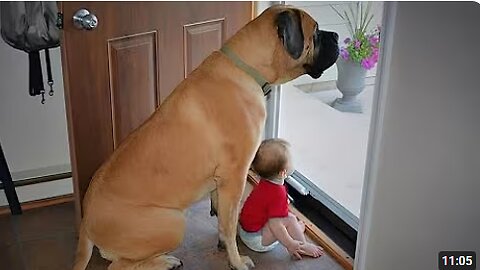 When Big Dogs Prove They're the Best Babysitters ❤️