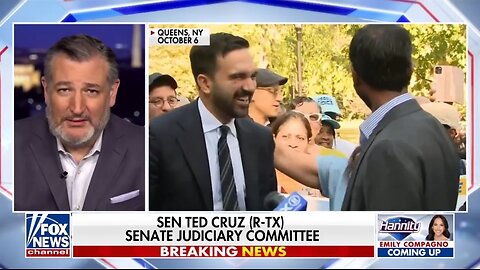 Sen Ted Cruz: Democrat Party Is Absolutely NUTS