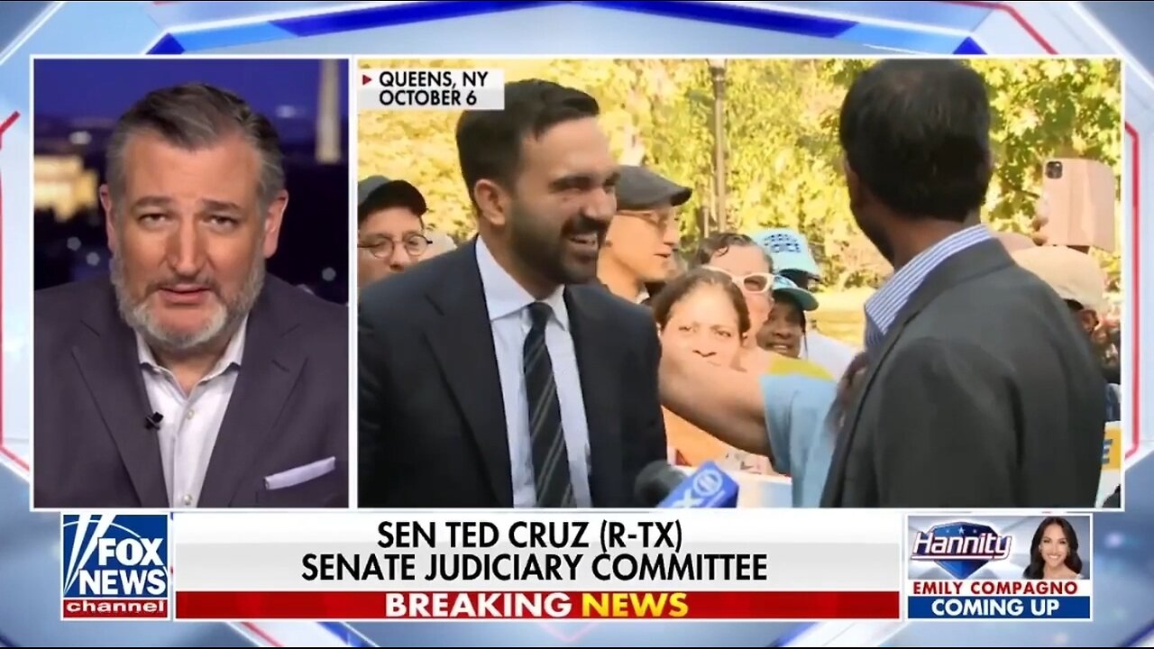 Sen Ted Cruz: Democrat Party Is Absolutely NUTS