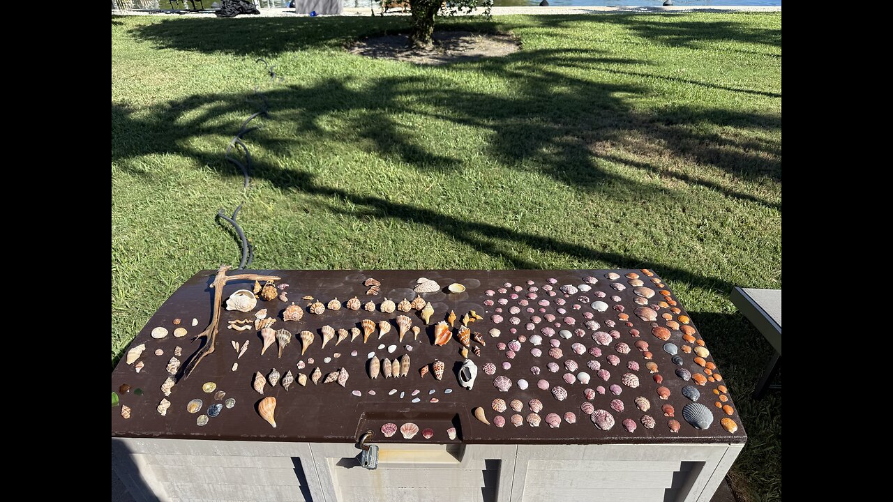 Beach Finds 5/14/2025 | 4K