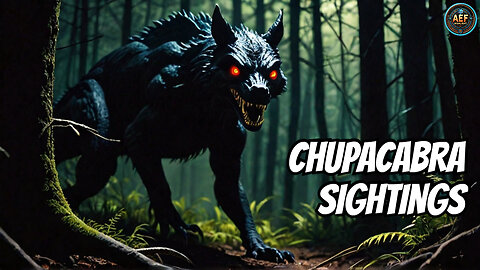 IS Chupacabra Terror REAL in Puerto Rico?! #enigmacast