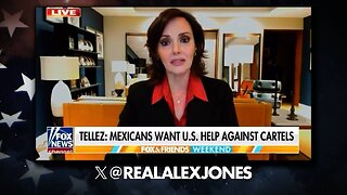 Mexican Senator Absolutely Welcomes Help From The United States To Fight The Cartels