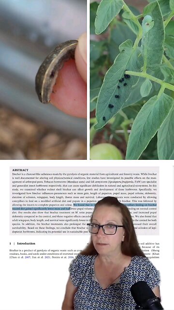 Biochar Fights Hornworms