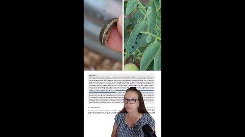 Biochar Fights Hornworms