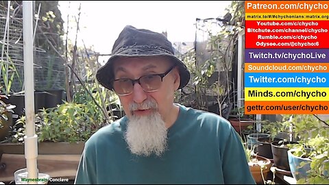 Patio Garden, Second Patio Live Stream of 2025 -- Friday, May 2 [ASMR]