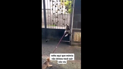 जाने नही दुगा