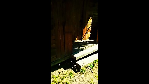 музей под открытым небом