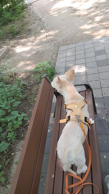 20250725. My LORD Is Jesus Christ. Amen.