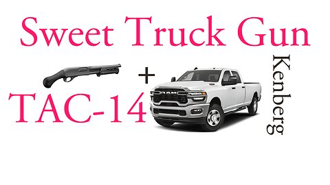 Remington TAC-14 Review: Ultimate Truck Gun & Home Defense for 2A Restricted States?