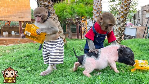 So funny !Monkey baby YiYi so sad when her cake was stolen