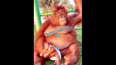 Mother's Protect Their Own- Happy Mother's Day