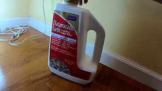Stopping Ants from Entering Your Home with Diatomaceous Earth