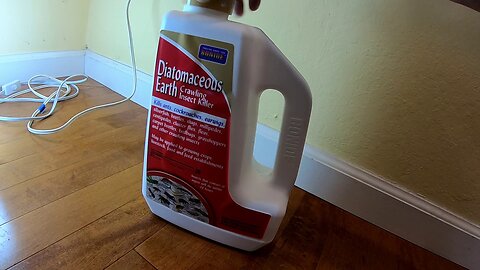 Stopping Ants from Entering Your Home with Diatomaceous Earth