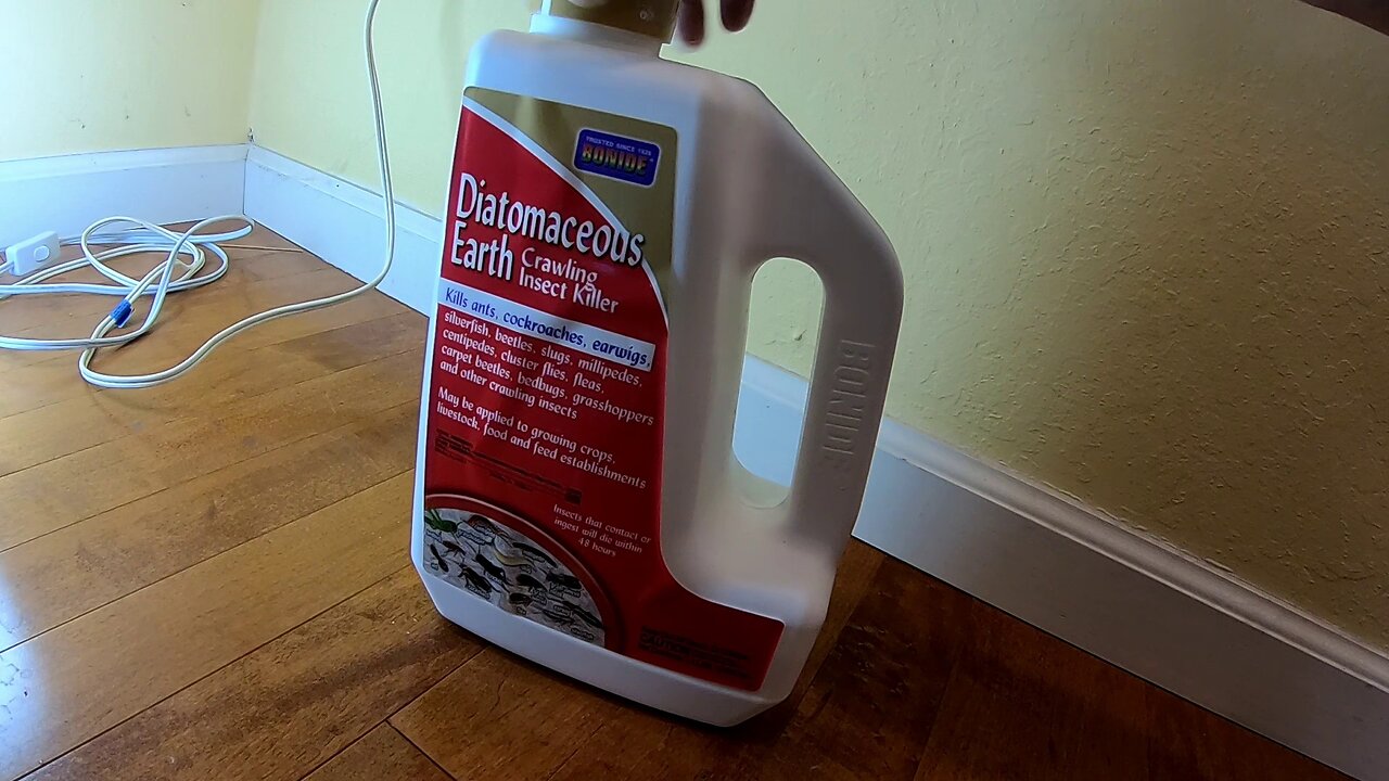 Stopping Ants from Entering Your Home with Diatomaceous Earth