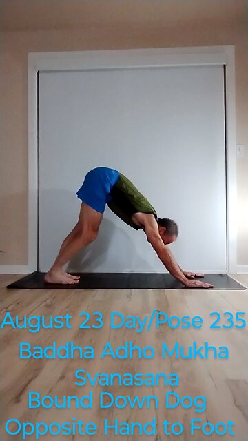 Baddha Adho Mukha Svanasana / Down Dog Opposite Hand to Foot