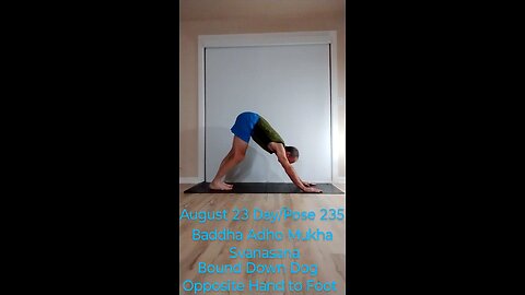 Baddha Adho Mukha Svanasana / Down Dog Opposite Hand to Foot