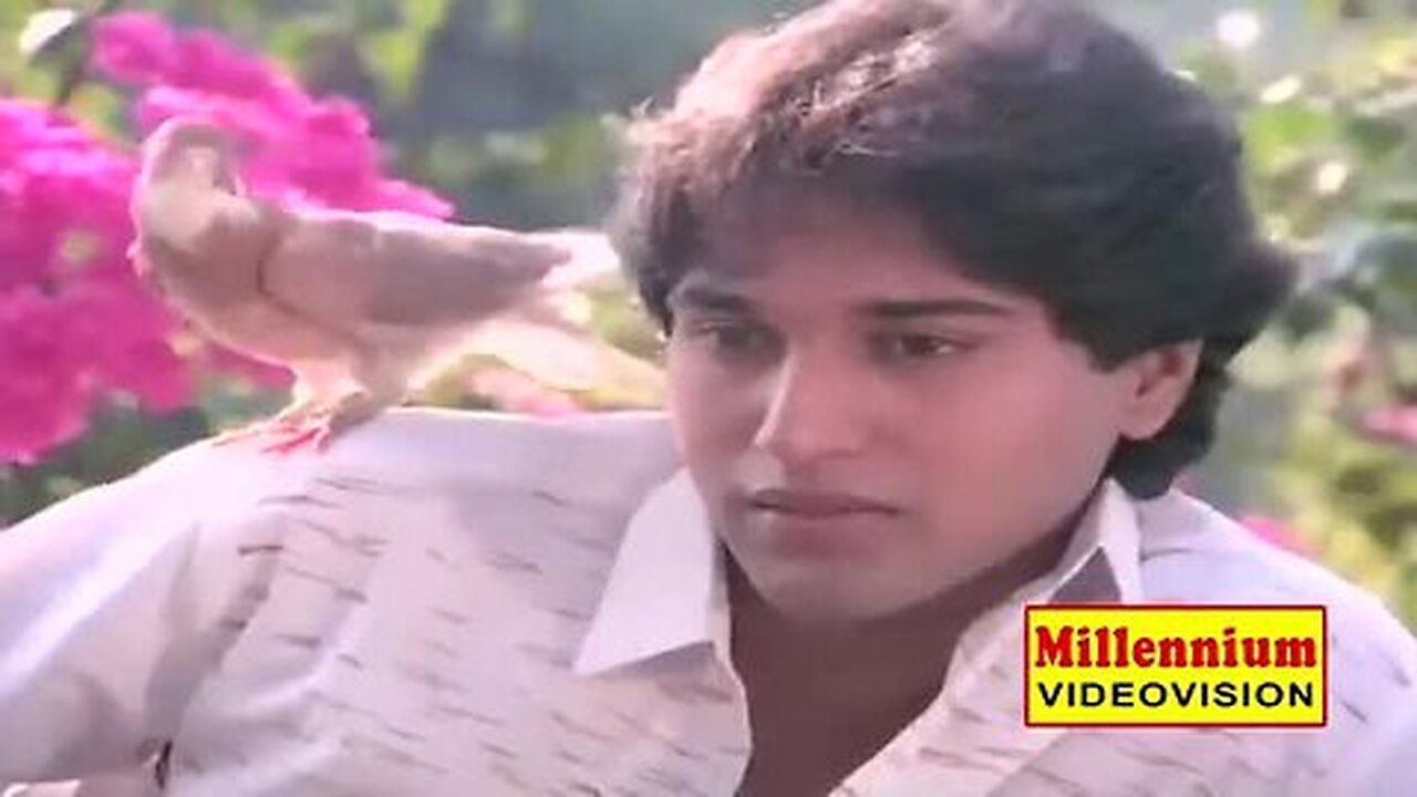 Evergreen_Film_Song___Poomkaattinoodum____Poomughapadiyil_Ninneyum_Kaathu___Malayalam_Film_Song