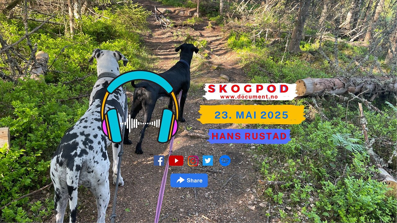 Skogpod 23. mai 2025