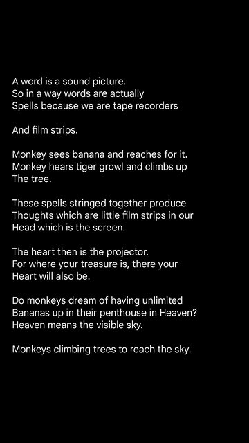 The Monkey Show 🙈