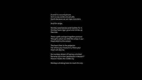 The Monkey Show 🙈