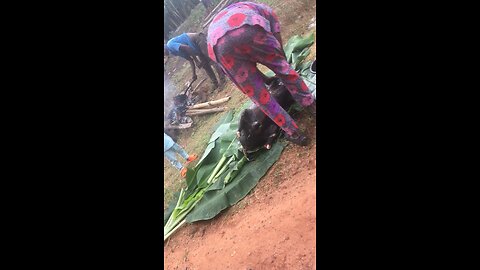 2025 Sallah Prep: Full Ram Slaughtering Process (PART 6)
