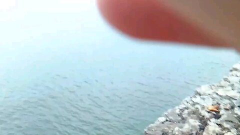 Peasron's Mill 50ft Cliffdiving