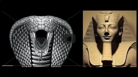 WE are Your CREATORS_ Elohiym_ WATCH the Whole Interview in Description Box. PERFECT Vatican MATCH !