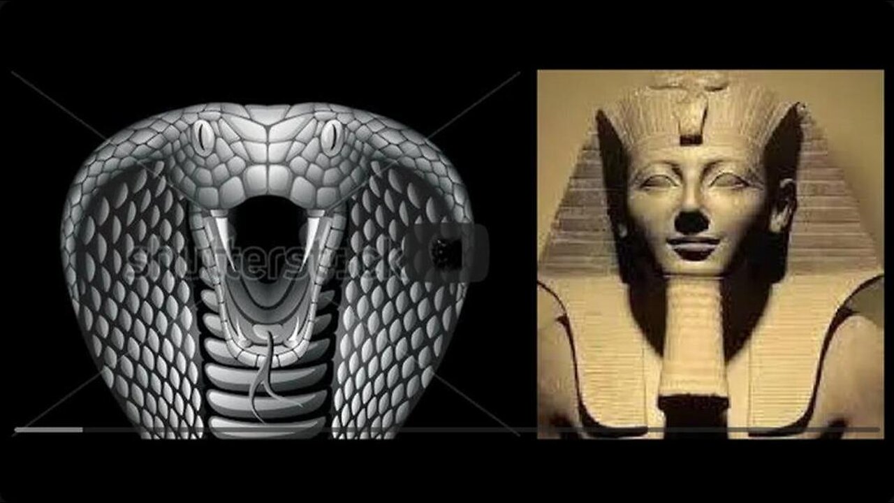 WE are Your CREATORS_ Elohiym_ WATCH the Whole Interview in Description Box. PERFECT Vatican MATCH !