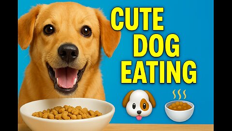 Cute Dog Eating Food 🐶🍲 | Funny Pet Reaction | CHINA BITE SHORTS
