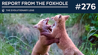 Report from the Foxhole: The 276th Evolutionary Lens with Bret Weinstein and Heather Heying